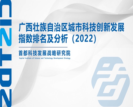 老年女人的黄色片看【成果发布】广西壮族自治区城市科技创新发展指数排名及分析（2022）